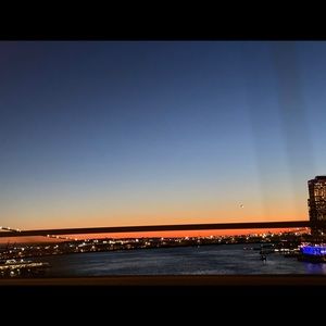 Meet your Posher, Rosie!